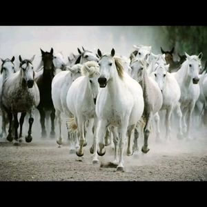 Meet your Posher, Esperanza